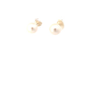 Pearl Earring